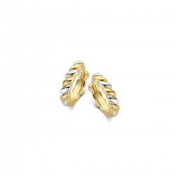 Creolen bicolor - 611323